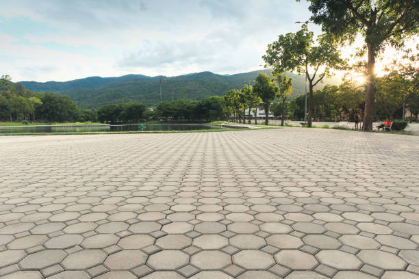 Best Decorative Driveway Pavers  in Englewood, CO